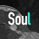 Soul软件下载安装