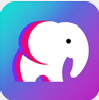 大象视频app下载官方最新版2023版