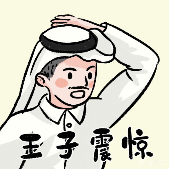 卡塔尔王子表情包图片2