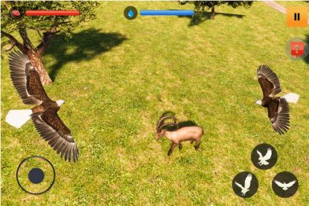 老鹰模拟游戏3D正式版图3