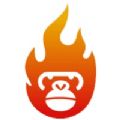 猴子探站app苹果下载