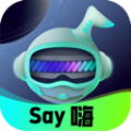 Say嗨元宇宙app