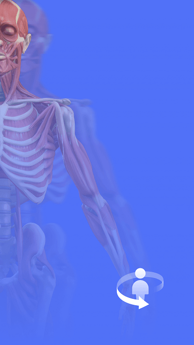 蔚一解剖学最新版图片2