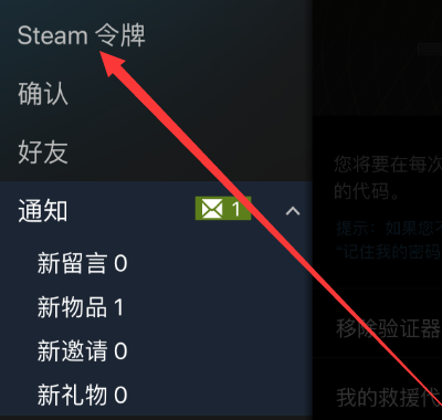 Steam中救援代码怎么看？Steam中看救援代码的方法图片2