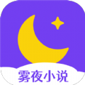 雾夜小说app