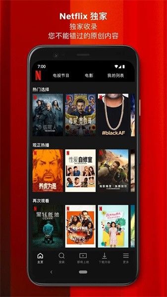 奈飞中文版app图3