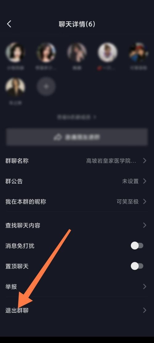 抖音极速版怎么退出群聊？抖音极速版退出群聊教程图片3
