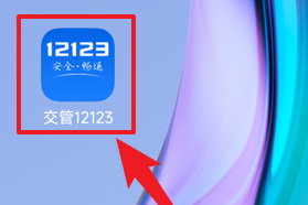 交管12123中怎样换驾驶证？交管12123中换驾驶证的操作方法图片1