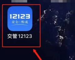 交管12123中缺考怎么处理？交管12123中缺考的处理方法图片1