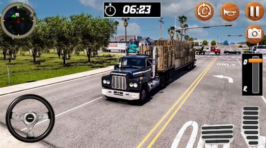 印度卡车货运模拟器游戏图片2